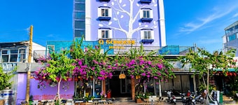 Q Song Chi Con Dao Hotel
