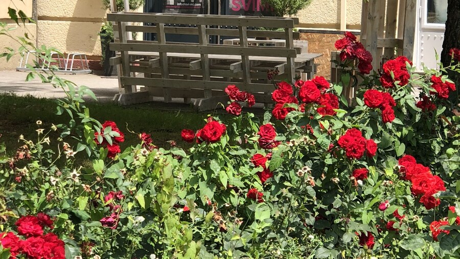 Design Studios SVI-MI