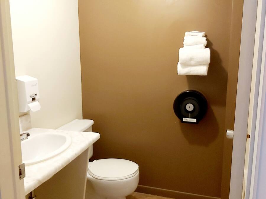 A bathroom with a toilet, sink, and towel rack.