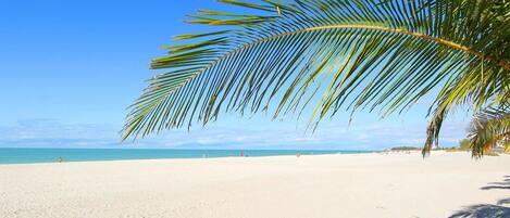 Playa