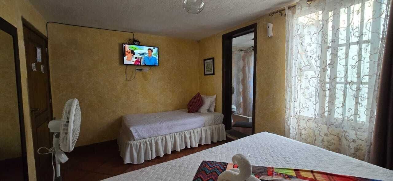 A room with a bed, a TV mounted on the wall, a fan, and a window with curtains.