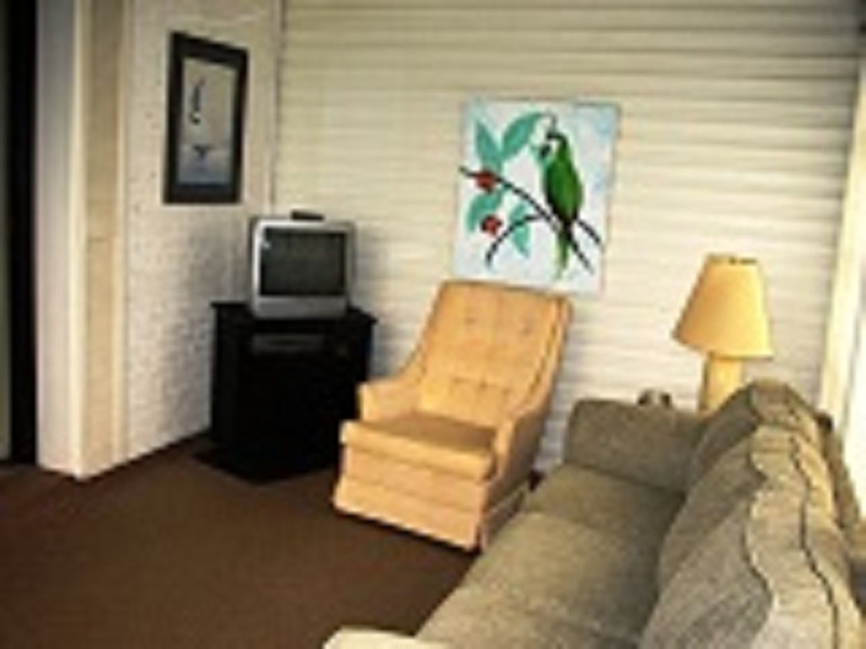 A room with a wooden chair, a sofa, a television on a stand, and a painting of a bird on the wall.