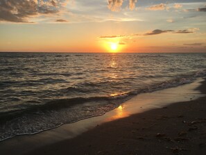 En privat strand, liggestole, parasoller, snorkling
