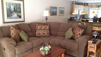 Smart TV, fireplace, video game console, Netflix