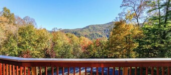 16 mi TO DT ASHEVILLE, FP, Ping Pong, Air Hockey, View