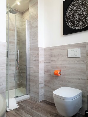 Shower, hair dryer, bidet, towels