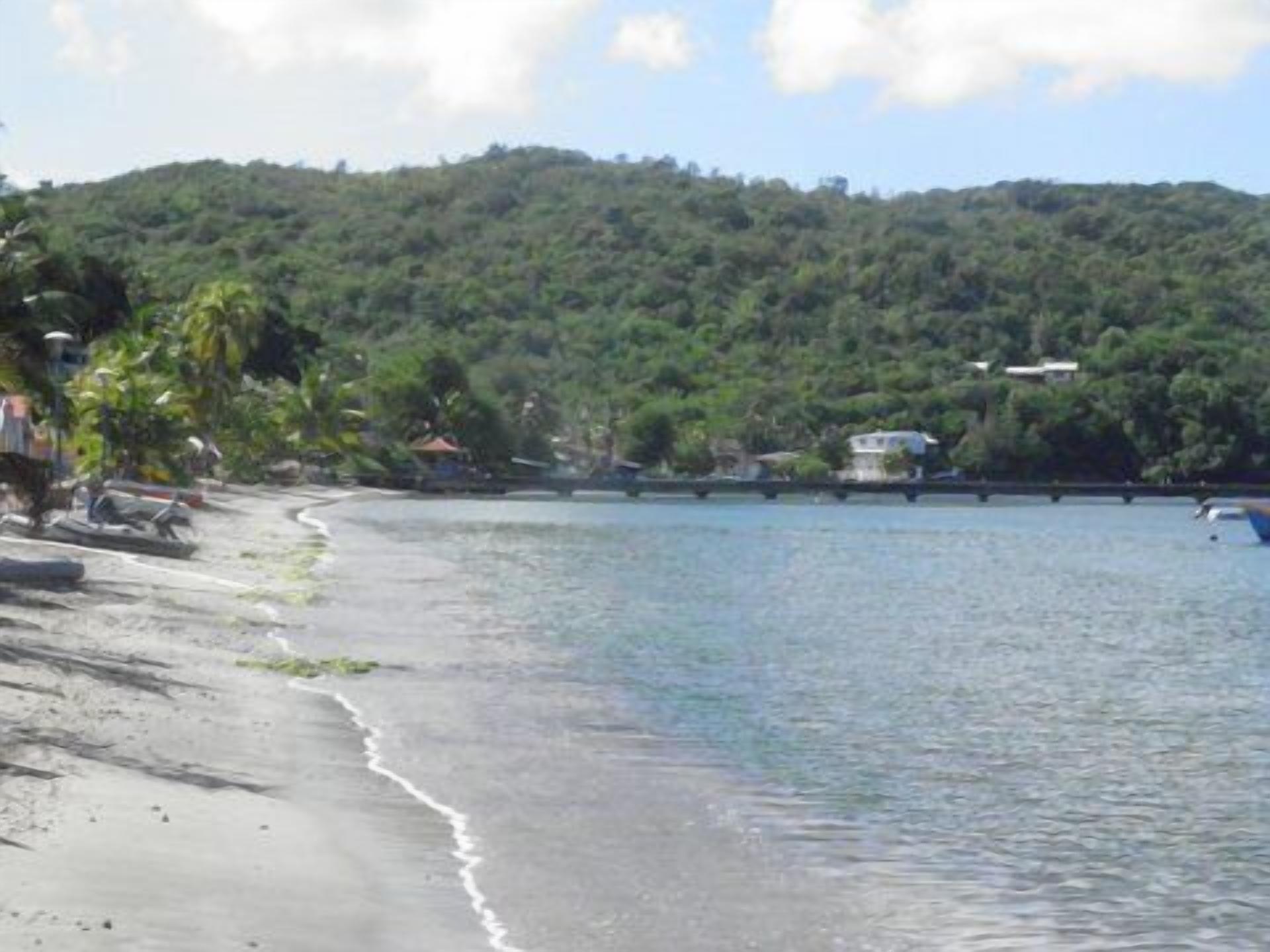 A beach with a clear view of the sea, a sandy shore, and a forested hill in the background.