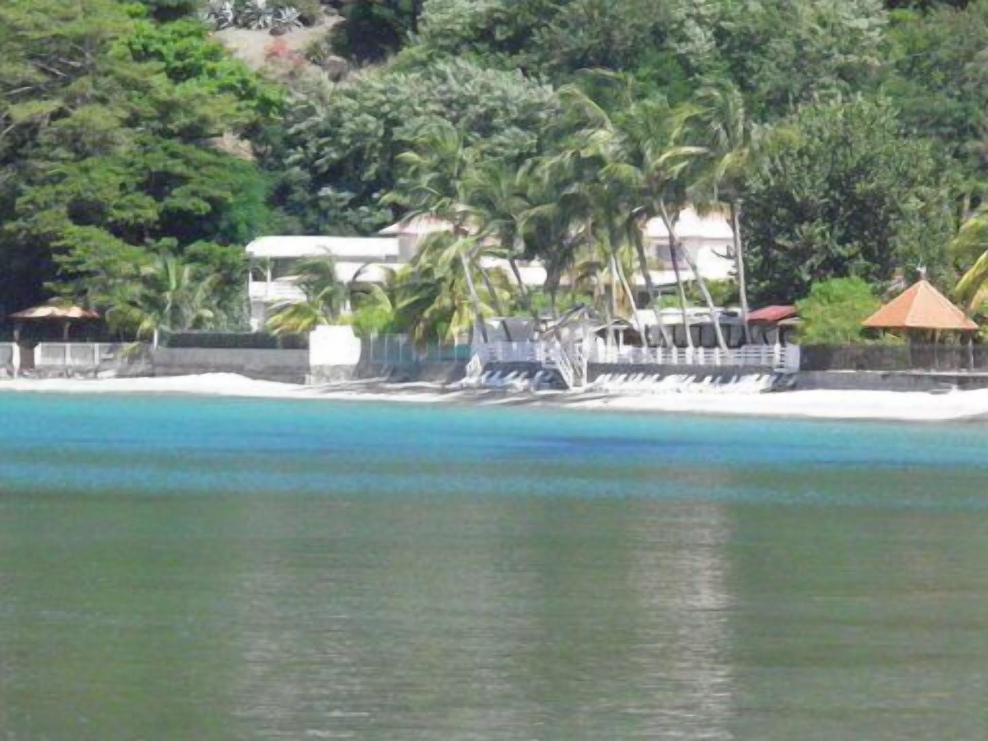 A beach with a white sandy shore, palm trees, and a building with a red roof.