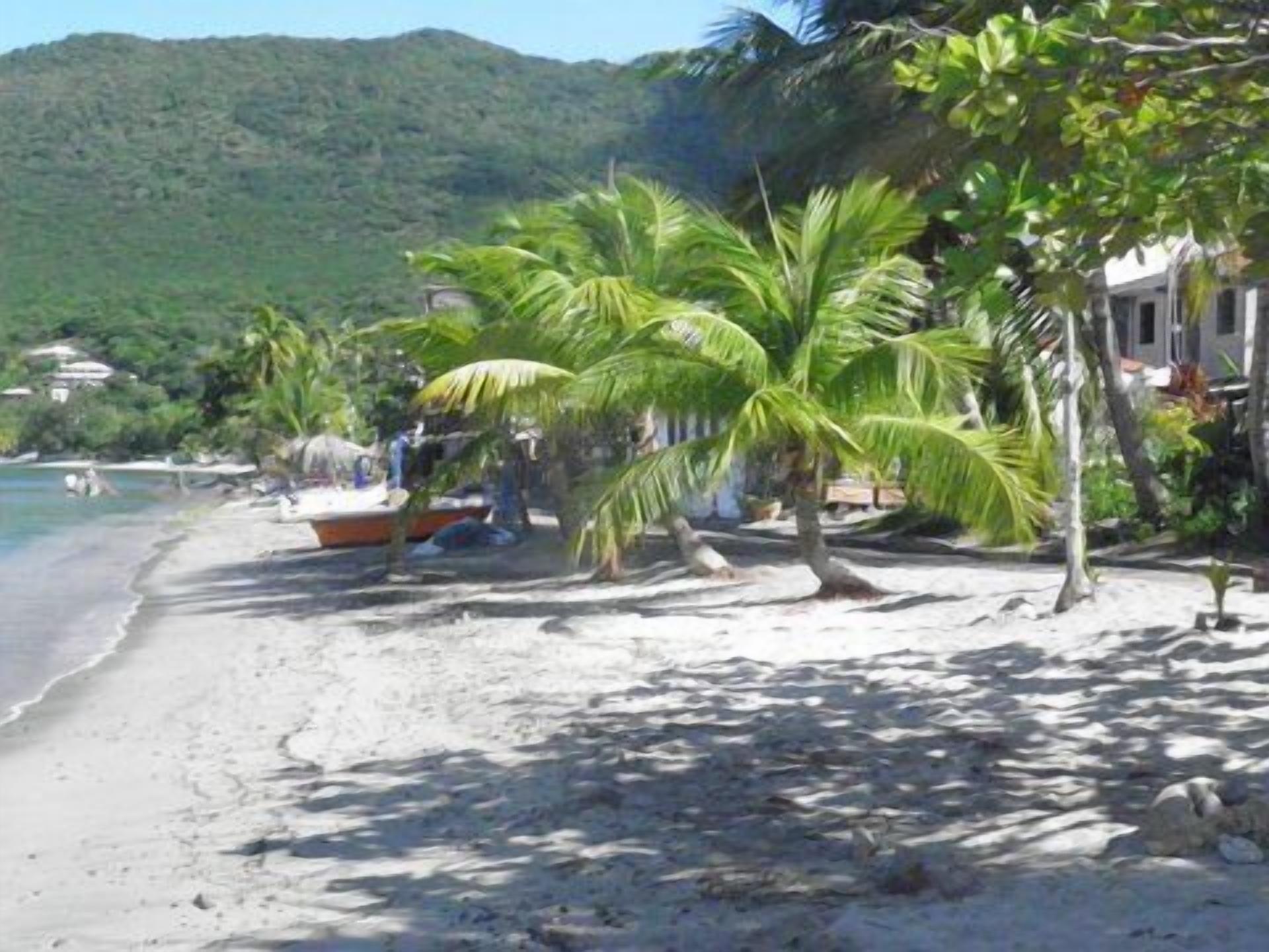 A beach with palm trees, a boat, and a mountain in the background.