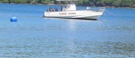 A small white boat named "PLONGEE PASSION" on calm water with a forested shoreline in the background.