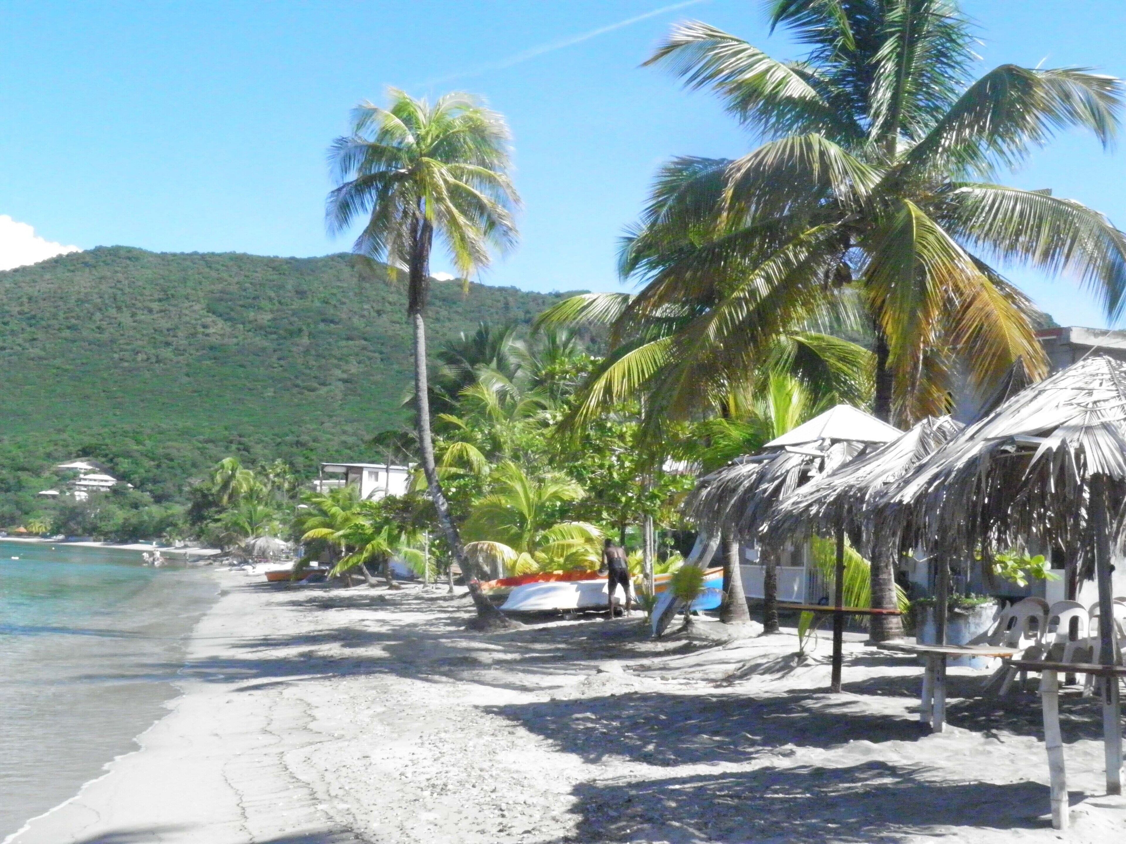 A beach with palm trees, a hut, and a mountain in the background.