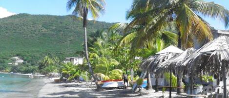 A beach with palm trees, a hut, and a mountain in the background.