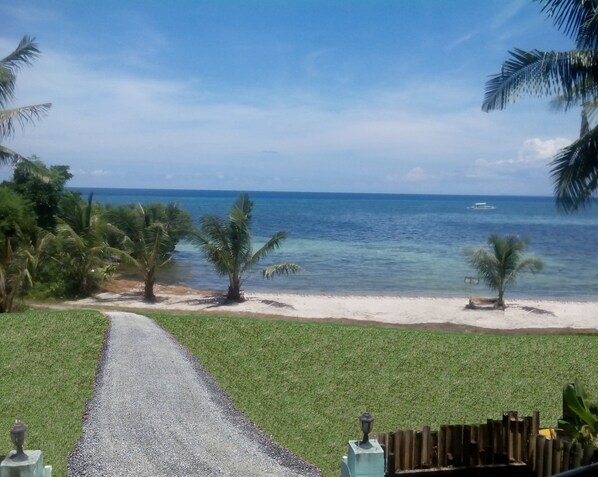 Property grounds - Clare's Beach House (Panglao)