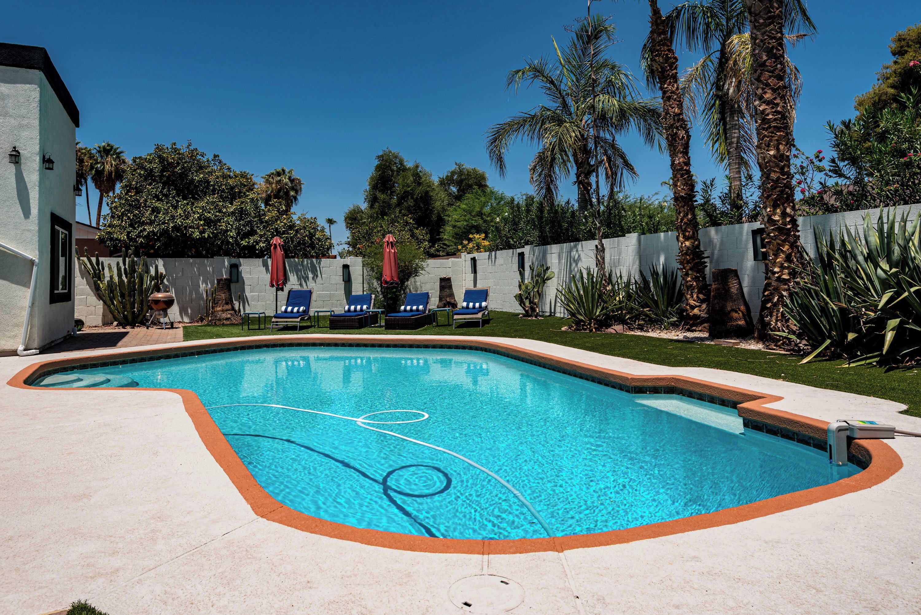 Une piscine à bord incurvé, entourée d’un petit muret et d’une zone herbeuse. Des chaises longues et des parasols sont disposés le long du muret.