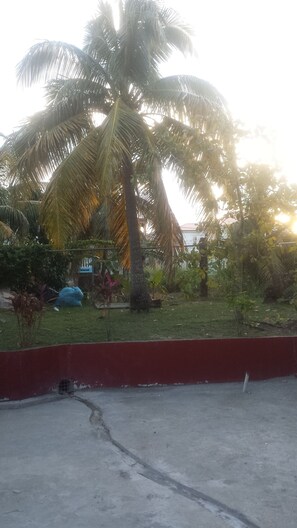 Property grounds - The Hillside Hideaway  (Vieux Fort)