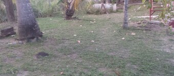 The Hillside Hideaway 