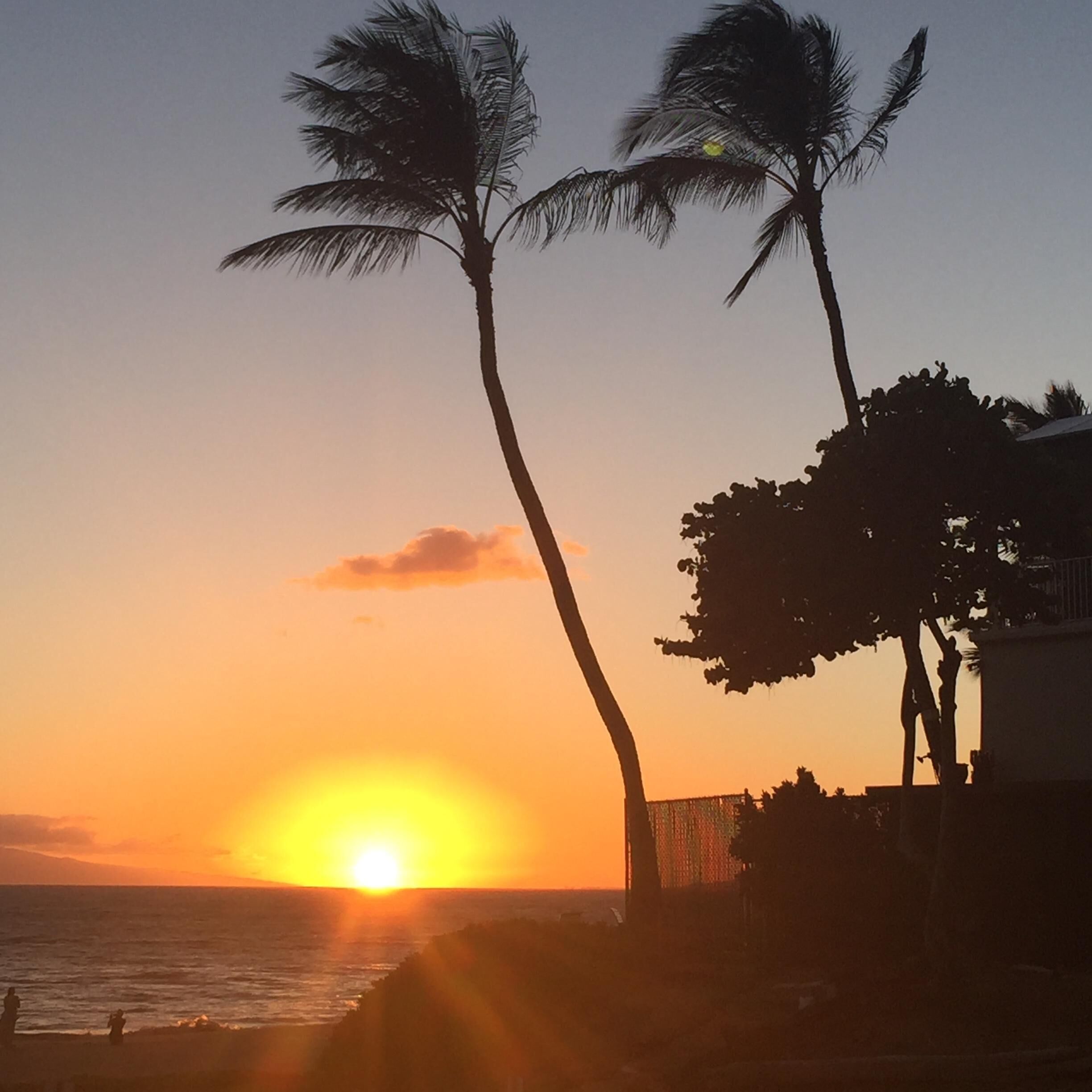 A sunset over a beach with palm trees and a building in the foreground.