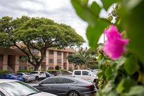 A parking lot with several cars, a large tree, and a building with balconies.
