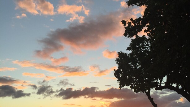 Une scène de plage au coucher du soleil, avec des personnes se promenant le long du rivage et un arbre au premier plan.