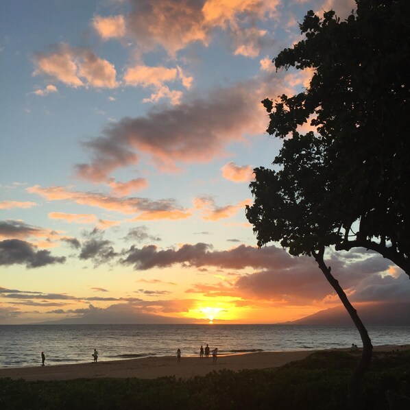 Beach nearby, sun-loungers, beach towels