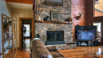 TV connectée, cheminée, jeux vidéo, lecteur de DVD