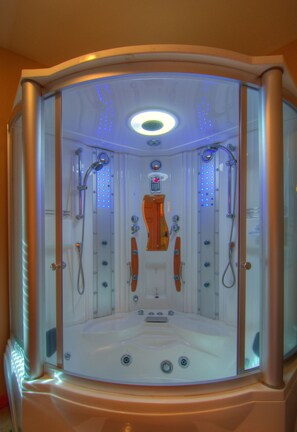 Combined shower/bathtub, jetted bath, hair dryer, towels