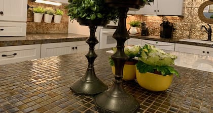 Tule nauttimaan trooppisesta paratiisikokemuksesta South Padre! LUPA: # 384879