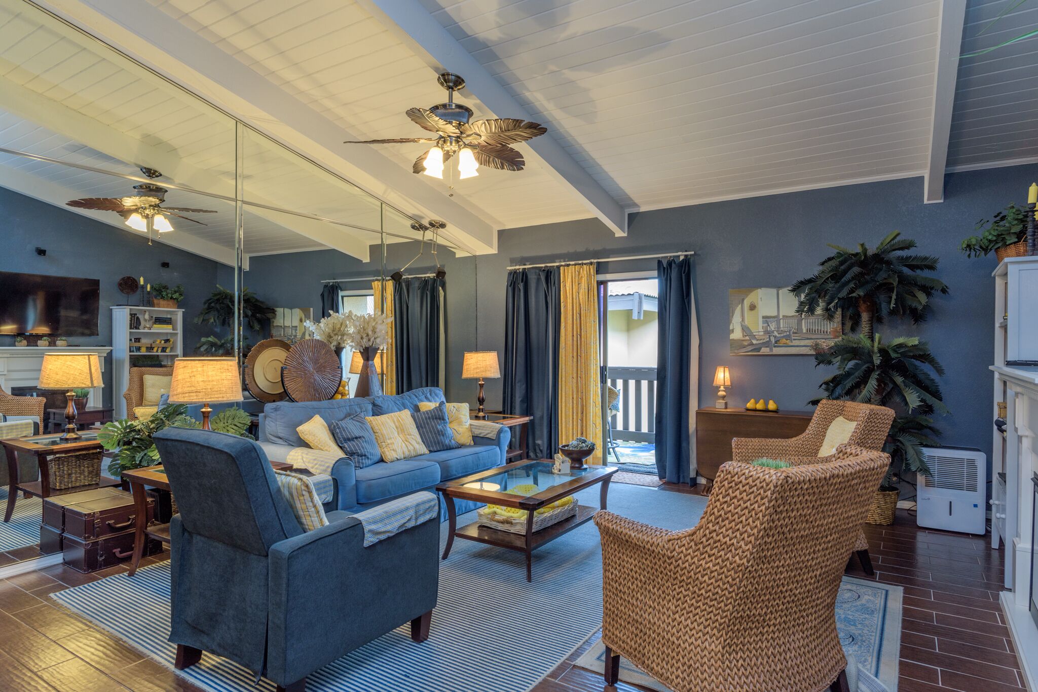 智能電視、壁爐、DVD 播放機、書籍