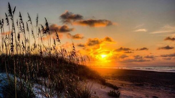 A beach scene with tall grasses in the foreground and a sunset in the background. - Prime Location 2nd row!!! Beautiful beach views from the deck!!  (Emerald Isle)