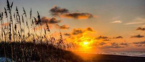 بالقرب من الشاطئ