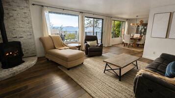 TV connectée, cheminée, livres, médiathÚque