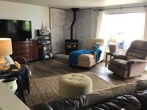 Smart TV, fireplace, books, music library