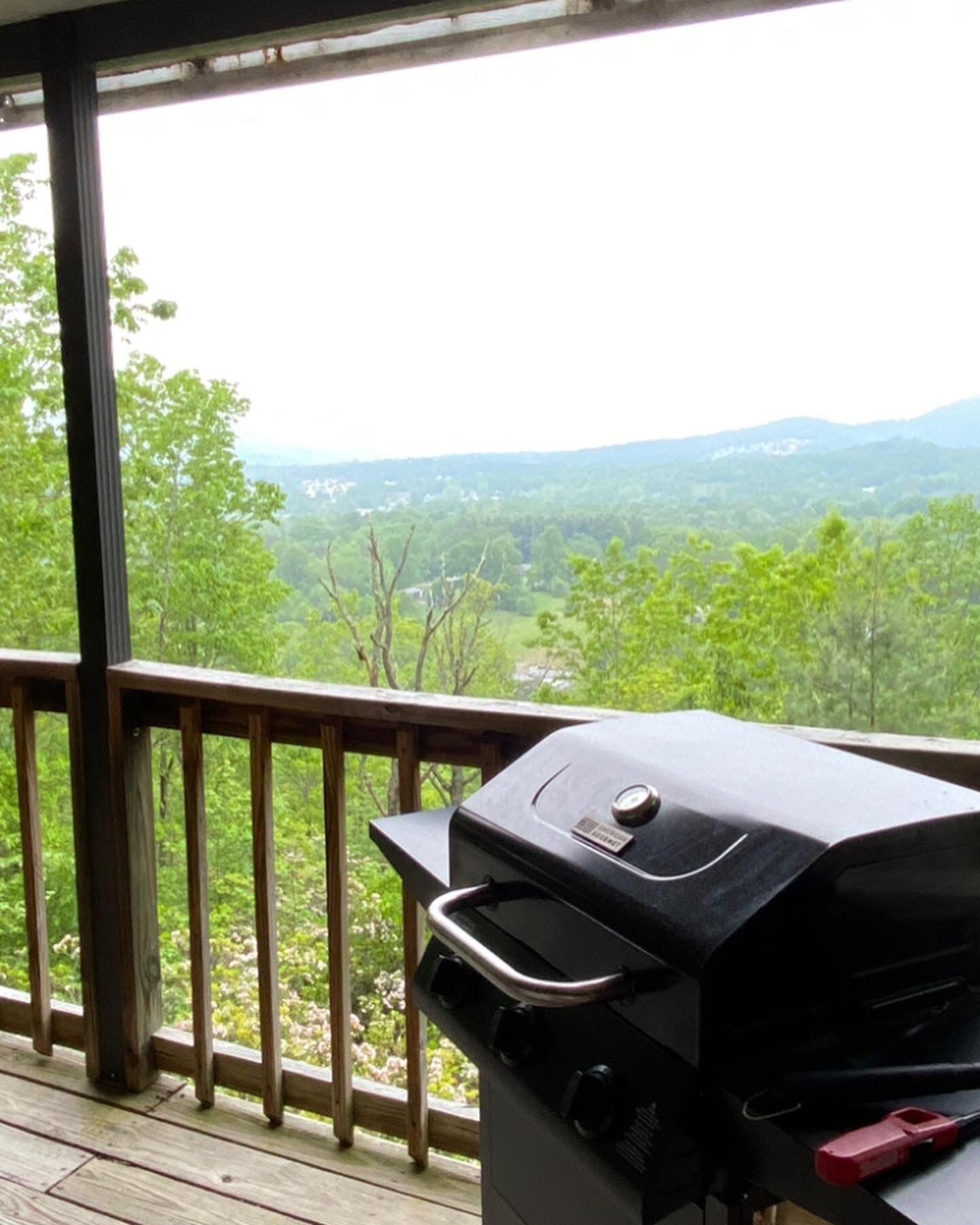 Un balcon doté d’un barbecue donnant sur un paysage boisé.