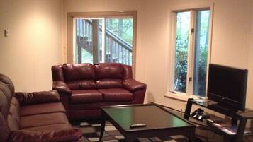 TV, fireplace, DVD player