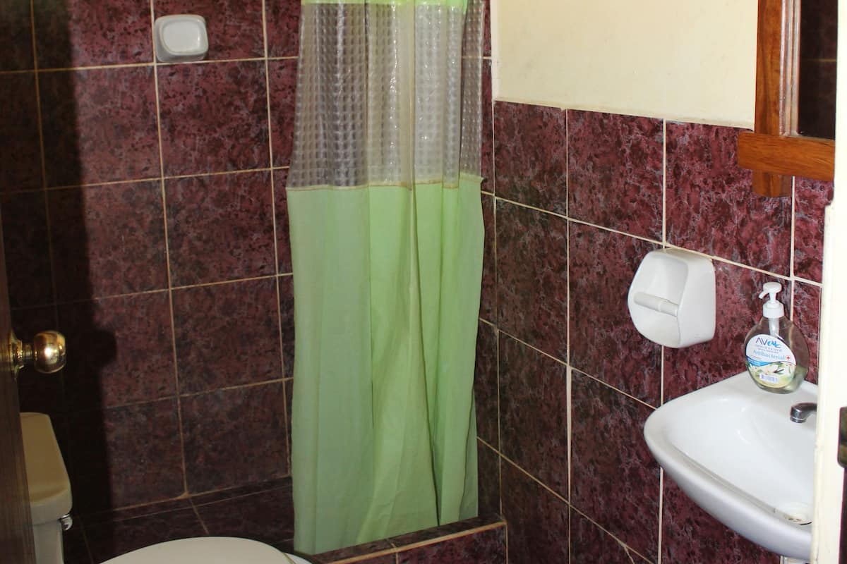 A bathroom with a toilet, a sink, and a shower curtain.