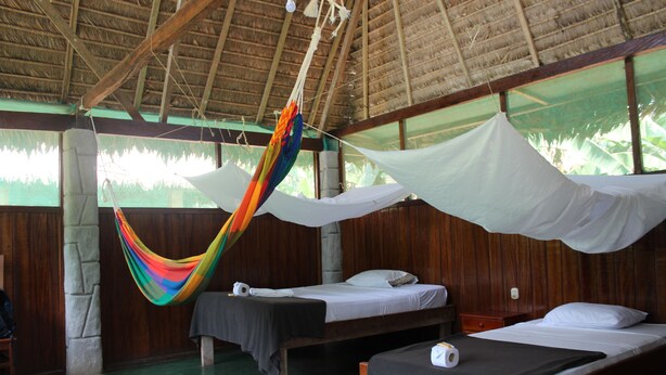 A room with two beds, a hammock, and a thatched roof. - Paradise Amazon Lodge & Adventure (Tambopata)