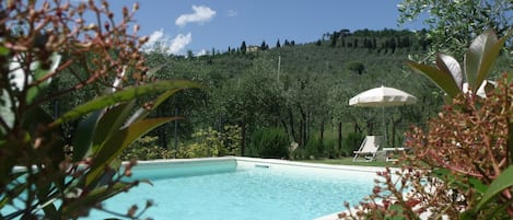 Seasonal outdoor pool, open 9:00 AM to 7:00 PM, pool loungers