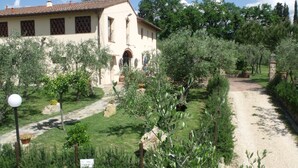 Una villa rústica con un sendero de jardín que conduce a la entrada, rodeada de olivos y vegetación.
