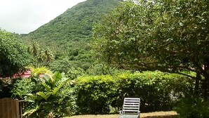 A garden with a wooden deck and a lounge chair.