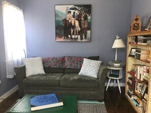 Smart TV, DVD player, books, video library