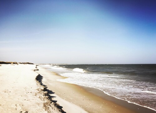 Adorable Vintage Beach House for Family & Friends Ideal Location