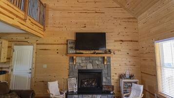 TV, fireplace, DVD player, books