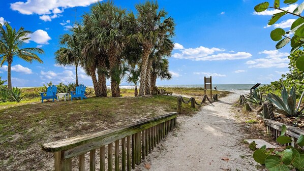 Une promenade bordée de palmiers et d’une clôture en bois, qui longe la plage et mène à un espace avec des bancs.
