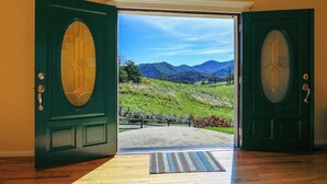 A room with a wooden floor, two green doors with glass panels, and a view of a green landscape with mountains.
