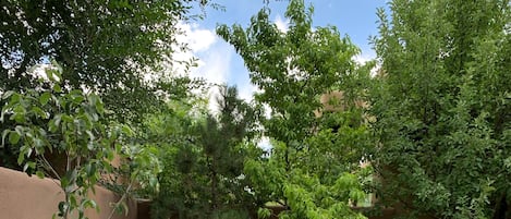 A white lounge chair in a garden with a stone pathway and various plants.