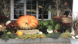A garden display with various plants and pumpkins in front of a house with a window. - Relax and get away! Beautiful beach house, close to OGT Village and Beach  (Ogunquit)