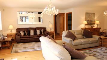 Smart TV, fireplace, video games, DVD player