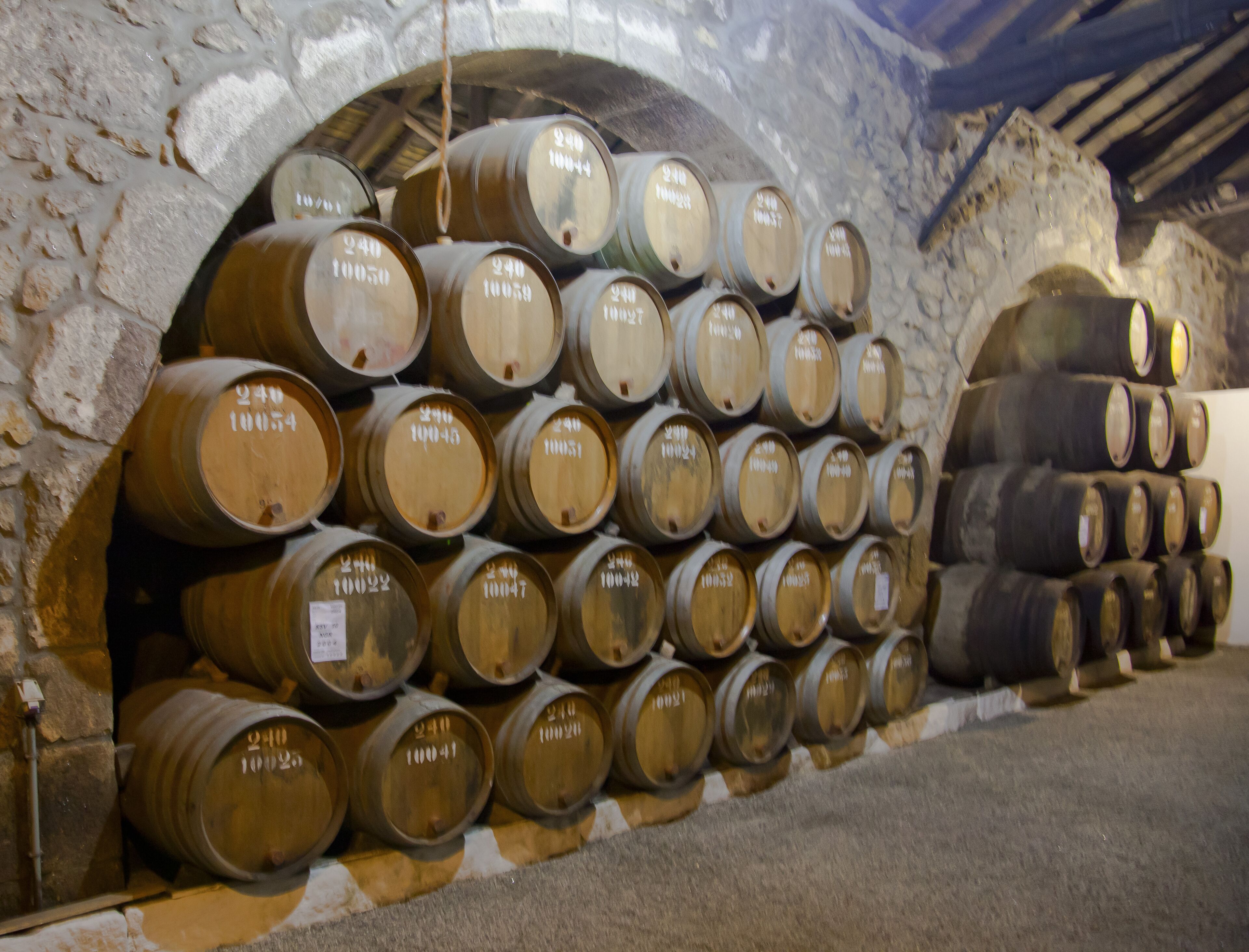 A collection of wooden barrels stacked in an arched stone cellar.