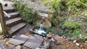 A stone staircase leading to a small water feature surrounded by greenery. - Apartment 2: Vacation Home by the Forest (Bad Sachsa)