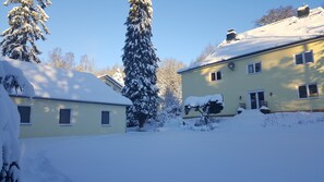A snow-covered residential area with two houses, one with a visible satellite dish and another with a chimney. - Apartment 2: Vacation Home by the Forest (Bad Sachsa)